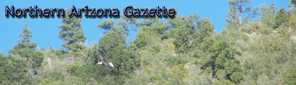 Northern Arizona Gazette